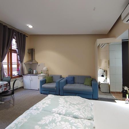 Apartment Danijela-City Centar ベオグラード エクステリア 写真