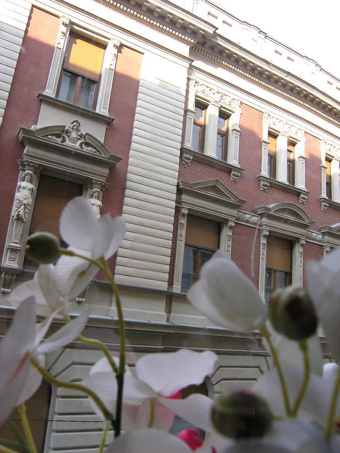 Apartment Danijela-City Centar ベオグラード エクステリア 写真